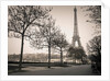 Pathway to Eiffel tower, Paris by Assaf Frank